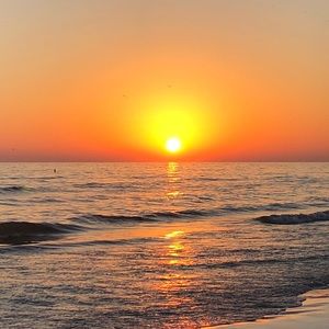 Meet your Posher, Cameron